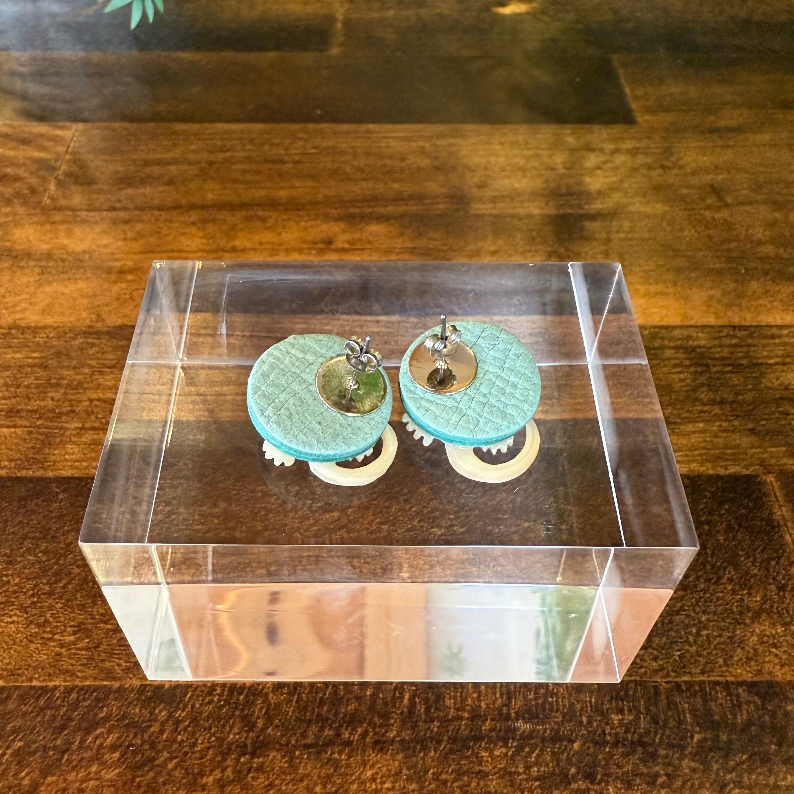 屋久島産・夜光貝ヤモリ ピアリ