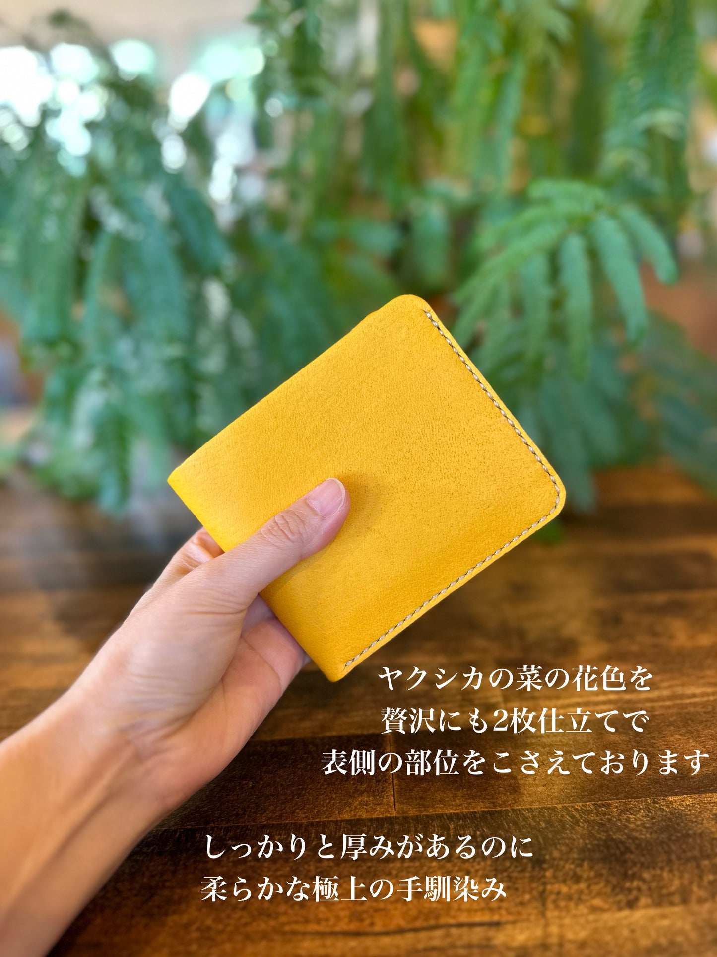 Bi-fold wallet (Hitotsubu Manbai Day)