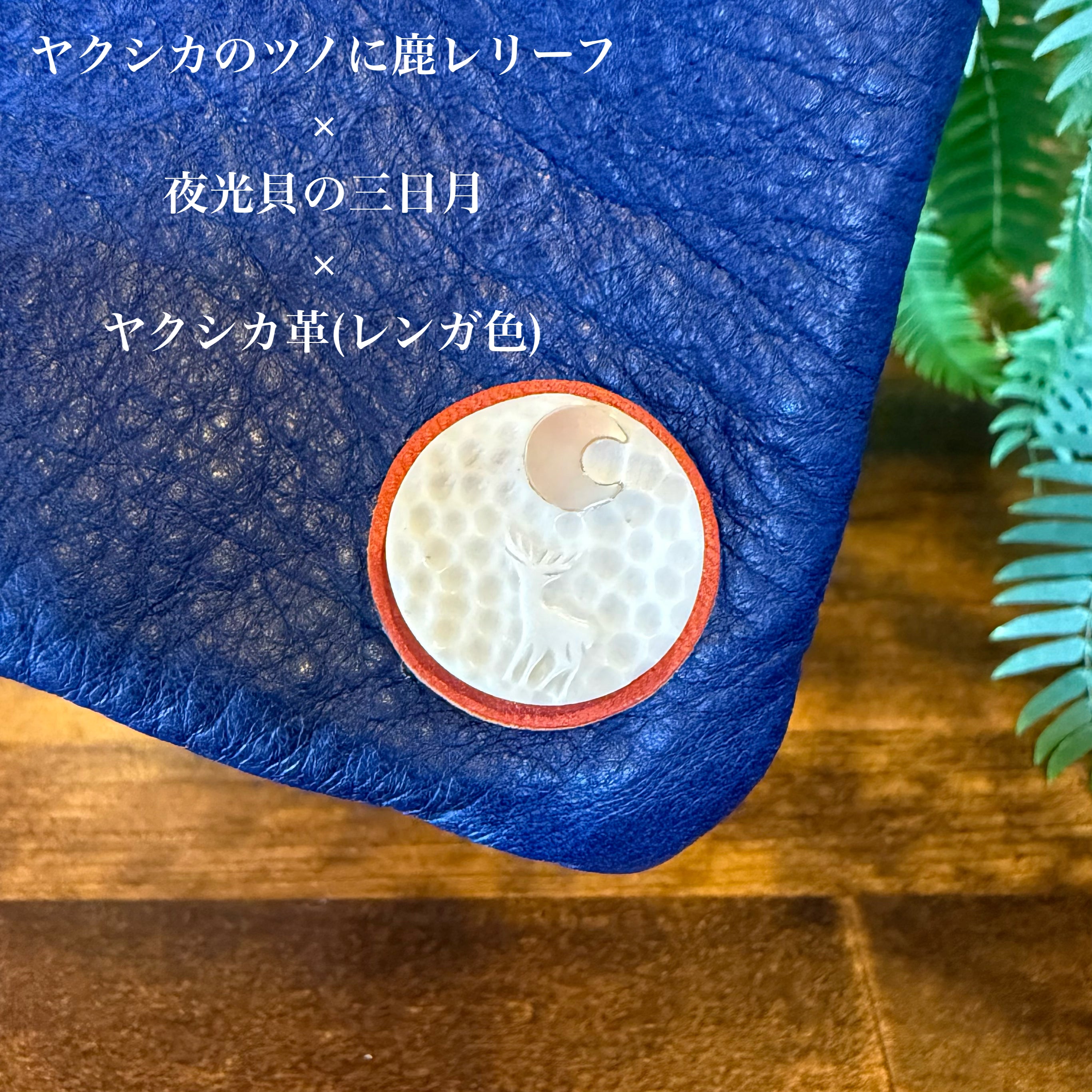 【蝦夷鹿革】サコッシュ【屋久島飾りボタン】