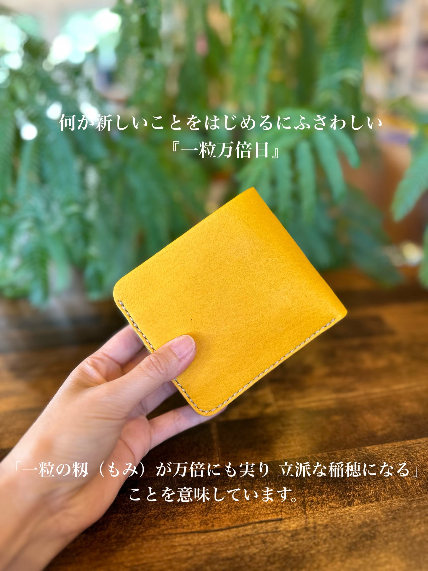 Bi-fold wallet (Hitotsubu Manbai Day)