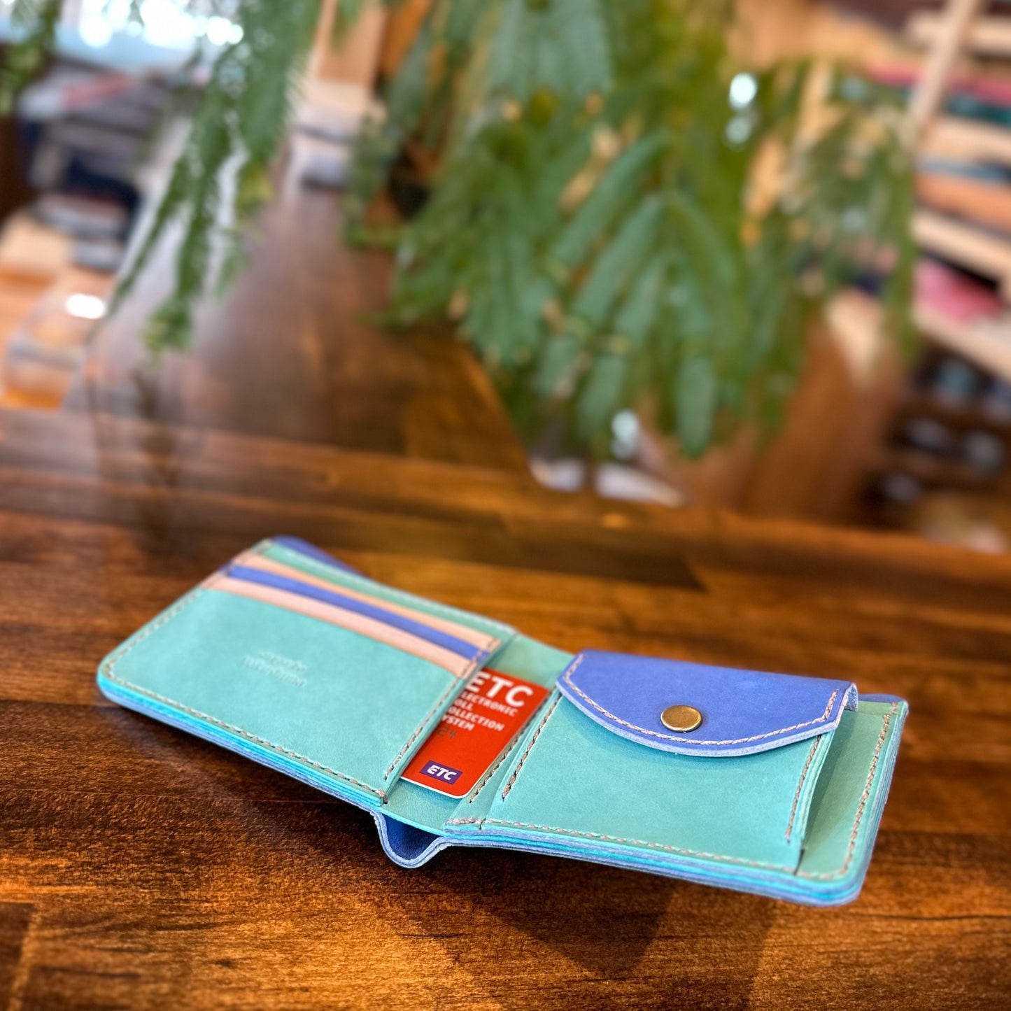 Bi-fold wallet (Turtle Island)