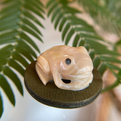 Obi clasp - luminous shell frog