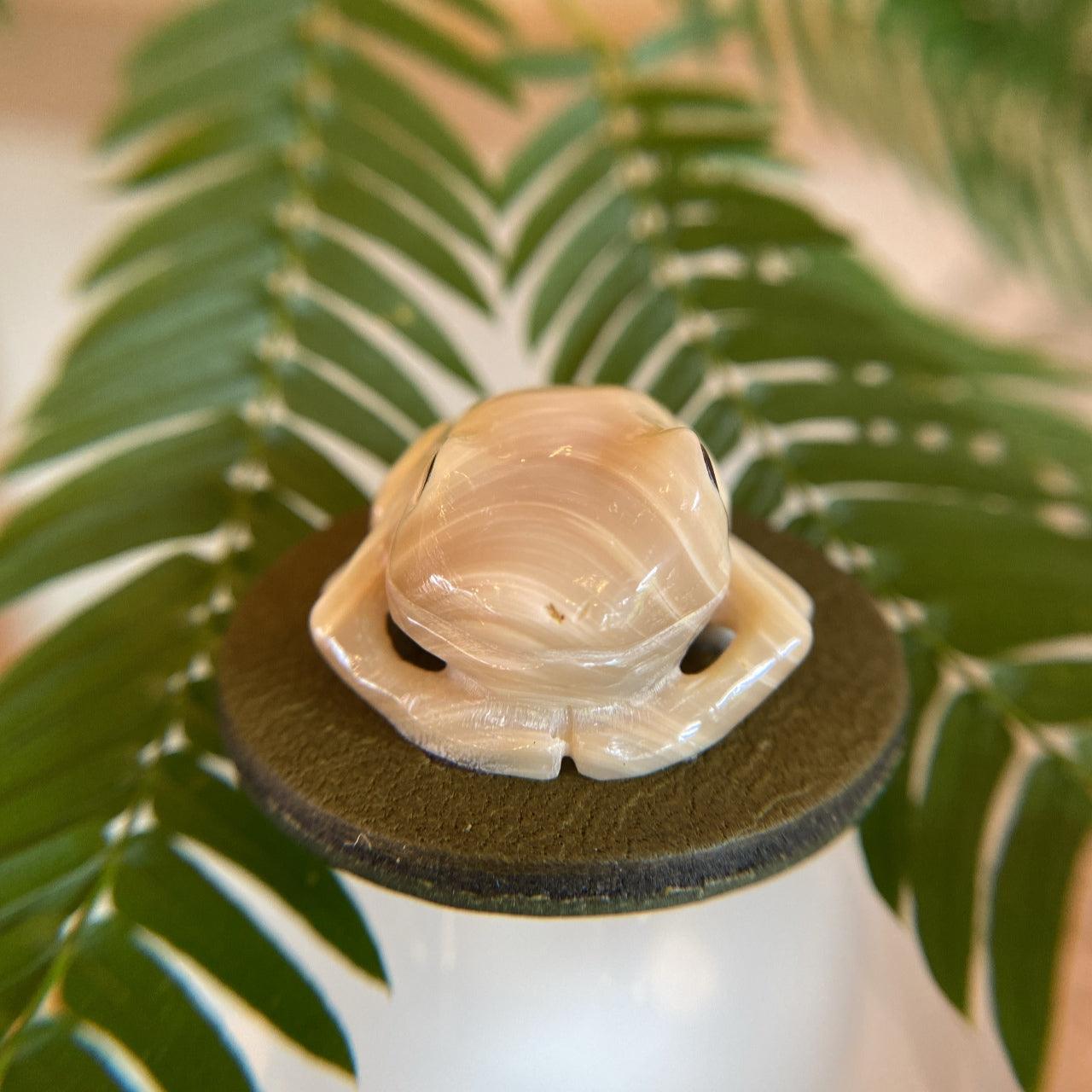 帯留め・夜光貝のカエル