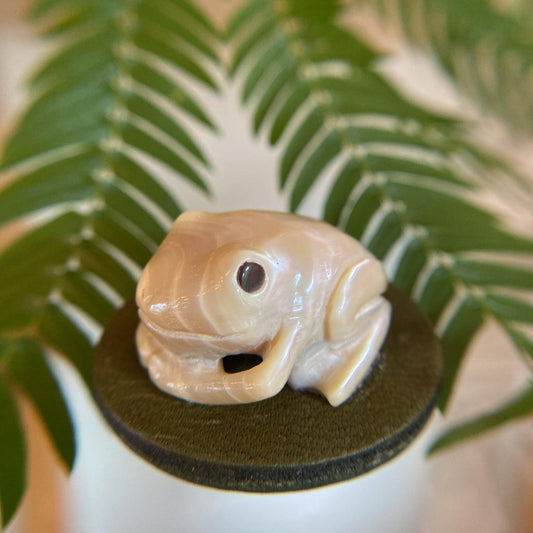 Obi clasp - luminous shell frog