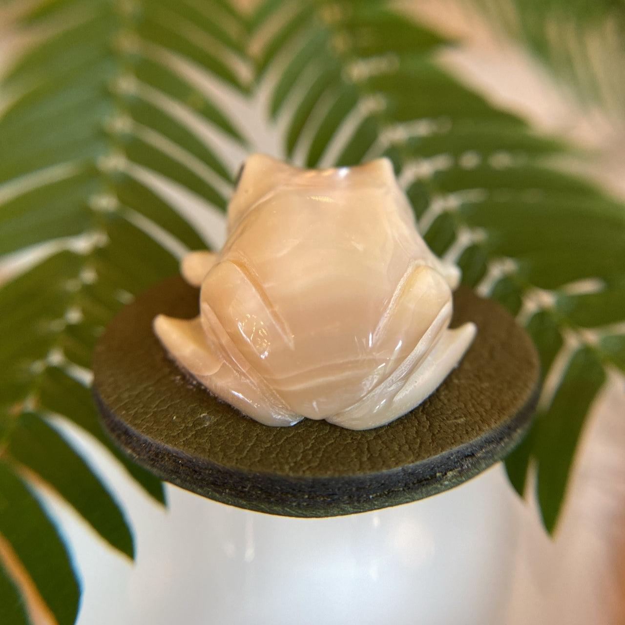 帯留め・夜光貝のカエル